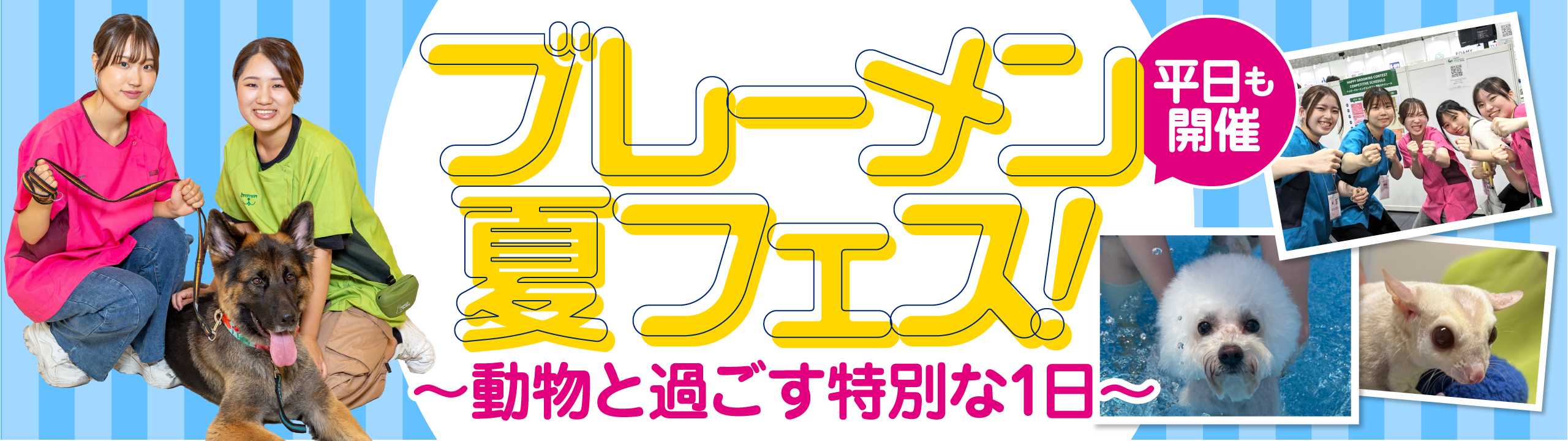 夏フェス